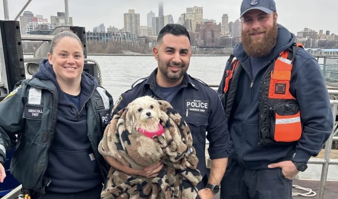 NYPD, Pazar sabahı East River’ın dondurucu sularında çaresizce su üstünde