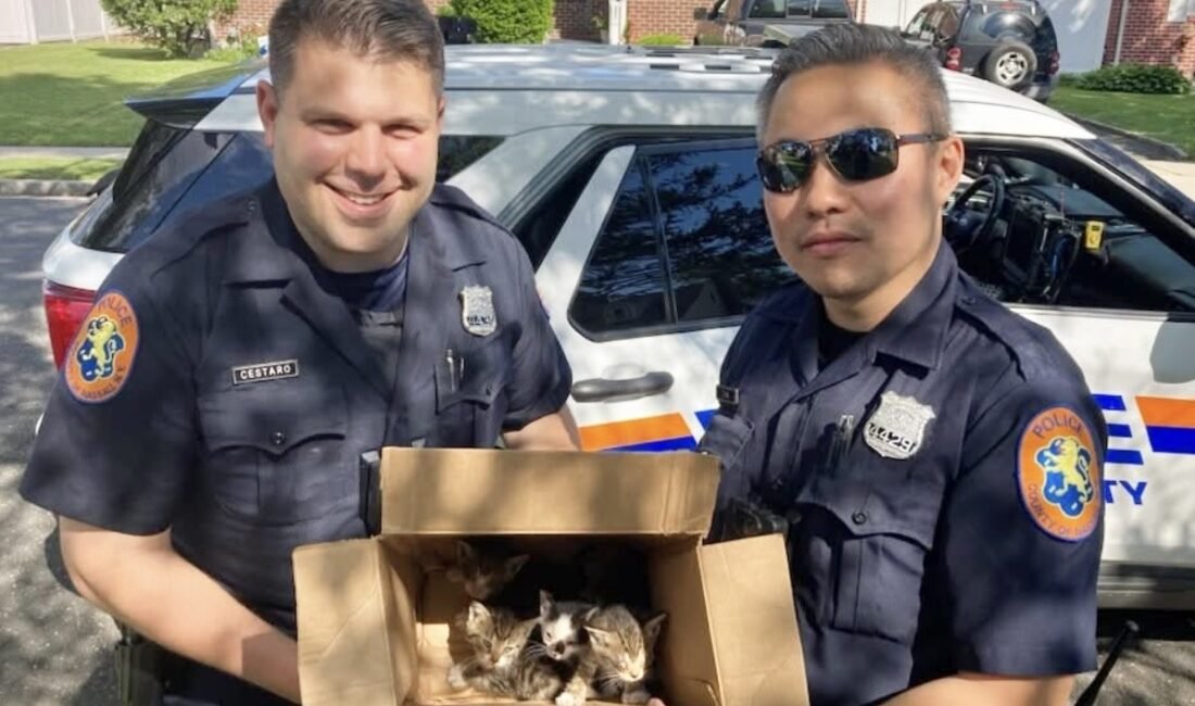 Amerika Birleşik Devletleri’nin New York eyaletine bağlı Long Island bölgesinde,