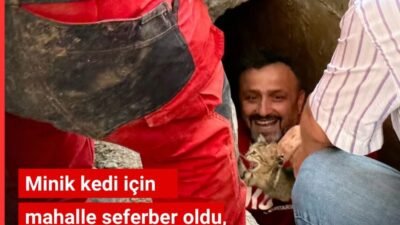 Kocaeli’nin Başiskele ilçesinde drenaj borusunda 7 gün mahsur kalan yavru