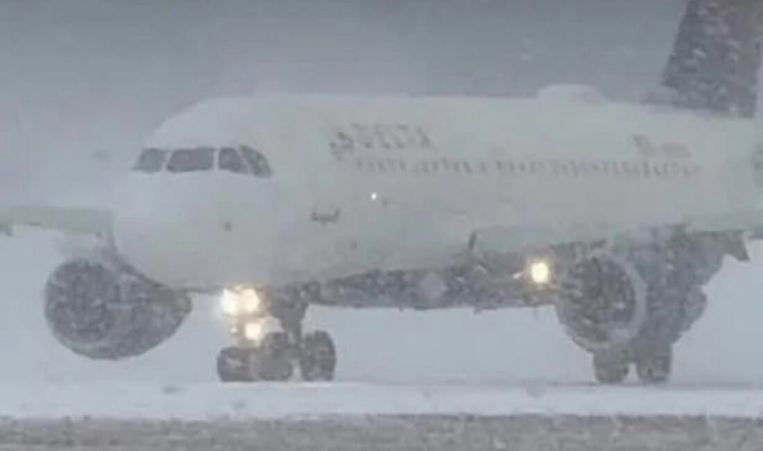 ABD – ABD genelinde etkili olan ve yetkililer tarafından “canavar
