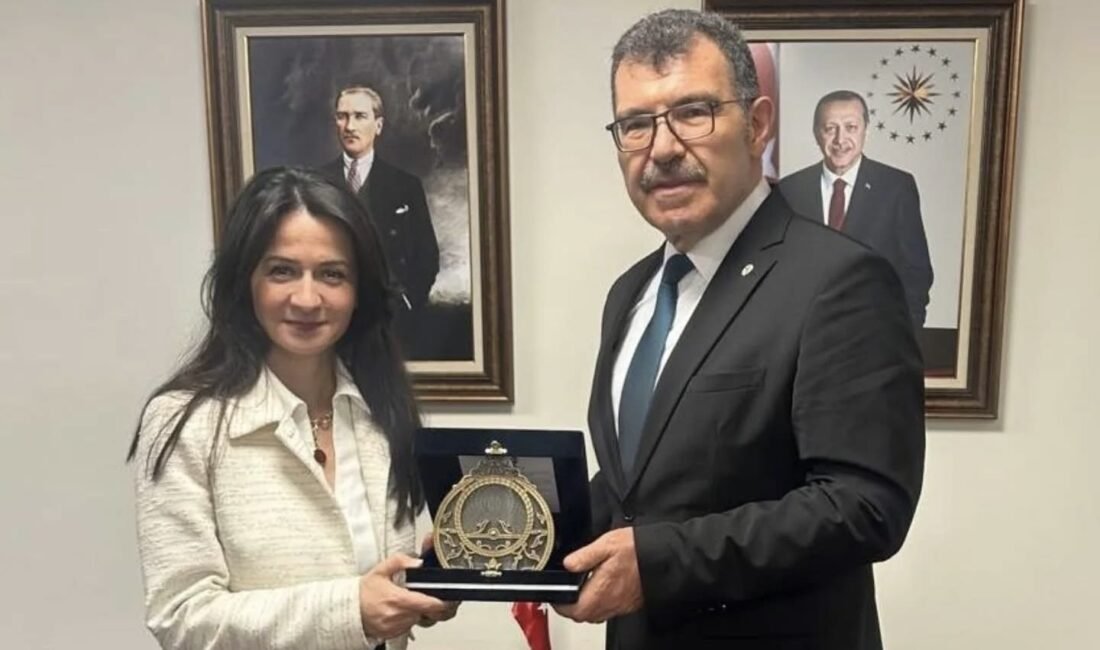 İstanbul Teknik Üniversitesi (İTÜ) Rektörü Prof. Dr. Hasan Mandal, Amerika