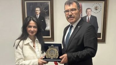 İstanbul Teknik Üniversitesi (İTÜ) Rektörü Prof. Dr. Hasan Mandal, Amerika