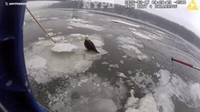 New York Polis Teşkilatı New York Police Department (NYPD) ekipleri, Salı sabahı