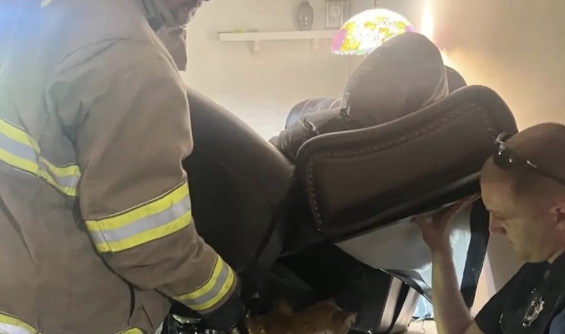 ABD’nim Missouri eyaletinin Kansas şehrinde itfaiyeciler, veteriner ziyaretinden kaçmaya çalışırken dev bir