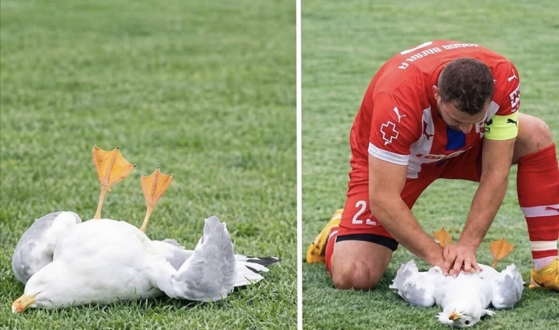 Türkiye’nin İstanbul şehrinde oynanan bir amatör futbol play-off karşılaşması sırasında sahada sıra