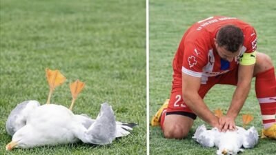 Türkiye’nin İstanbul şehrinde oynanan bir amatör futbol play-off karşılaşması sırasında sahada sıra