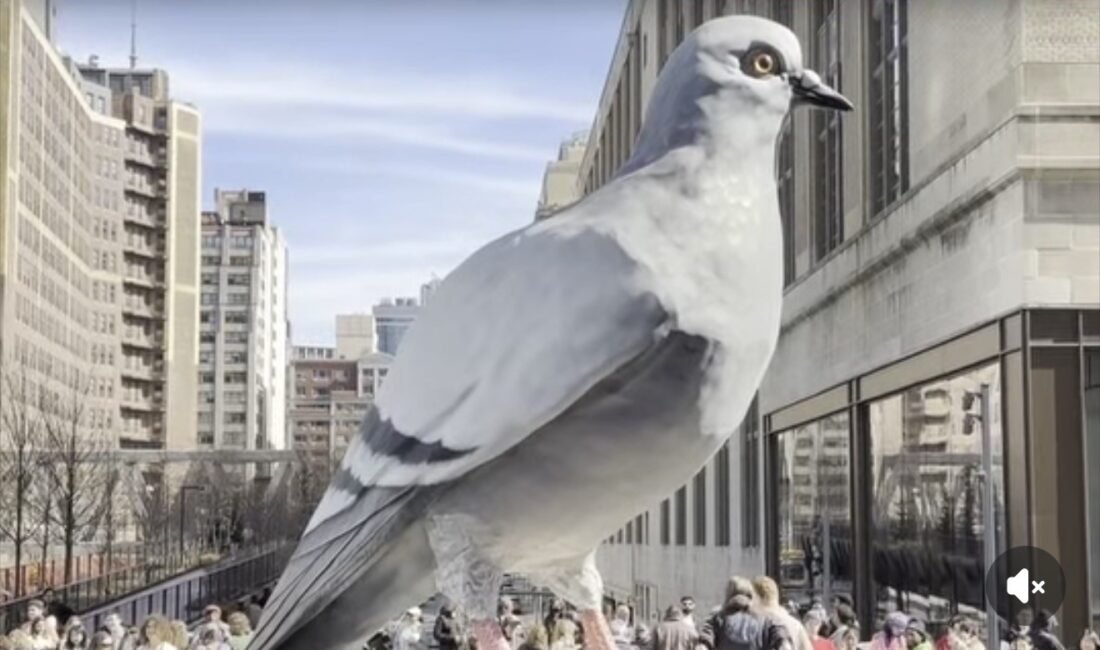 NEW YORK – High Line üzerinde yer alan ve son dönemin en