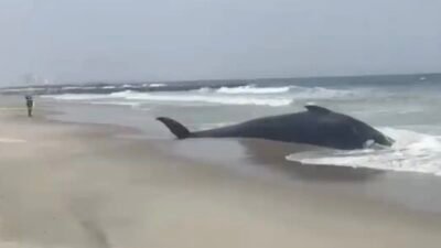 NEW YORK - ABD’nin New York kentinde bulunan Rockaway Beach