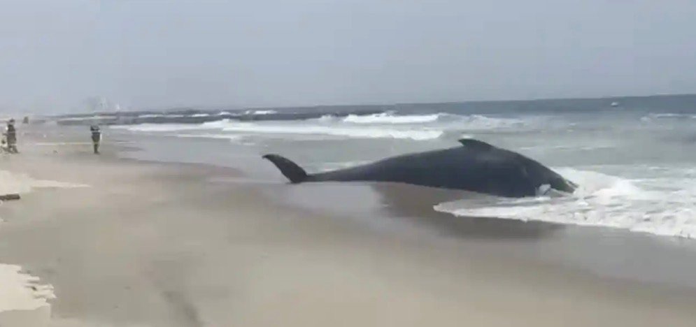 NEW YORK - ABD’nin New York kentinde bulunan Rockaway Beach