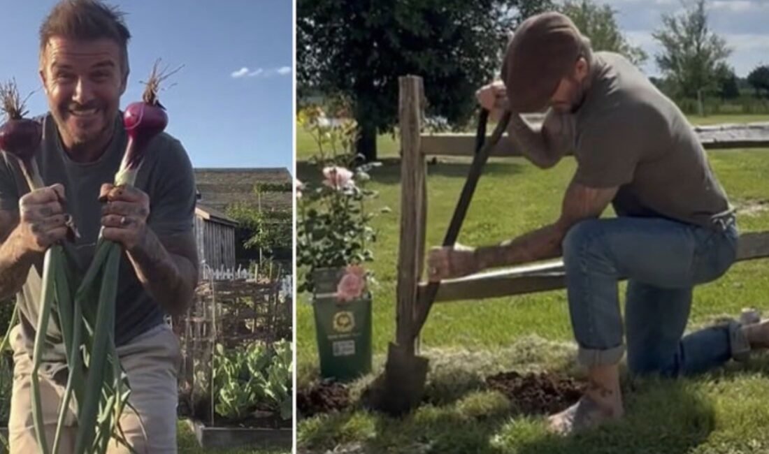Bir zamanlar 'vurduğu topu filelere gönderen' sağ ayağıyla ünlüydü David