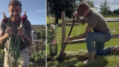 Bir zamanlar 'vurduğu topu filelere gönderen' sağ ayağıyla ünlüydü David