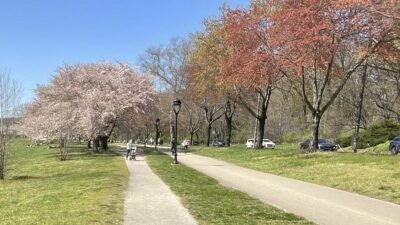 ABD’de kış aylarının sert ve uzun süren etkisinin ardından Nisan