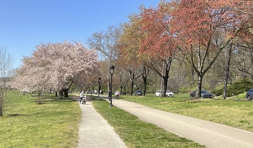 ABD’de kış aylarının sert ve uzun süren etkisinin ardından Nisan