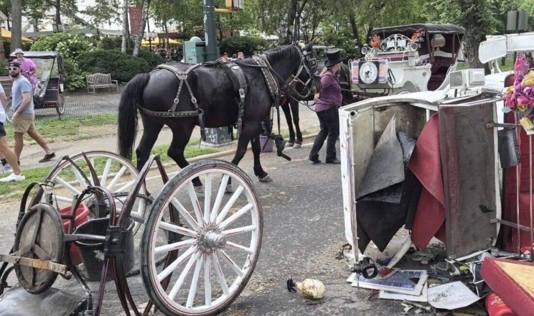 New York’un simgelerinden biri olarak görülen Central Park’taki atlı faytonlar,