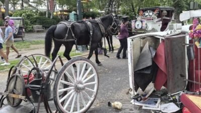 New York’un simgelerinden biri olarak görülen Central Park’taki atlı faytonlar,