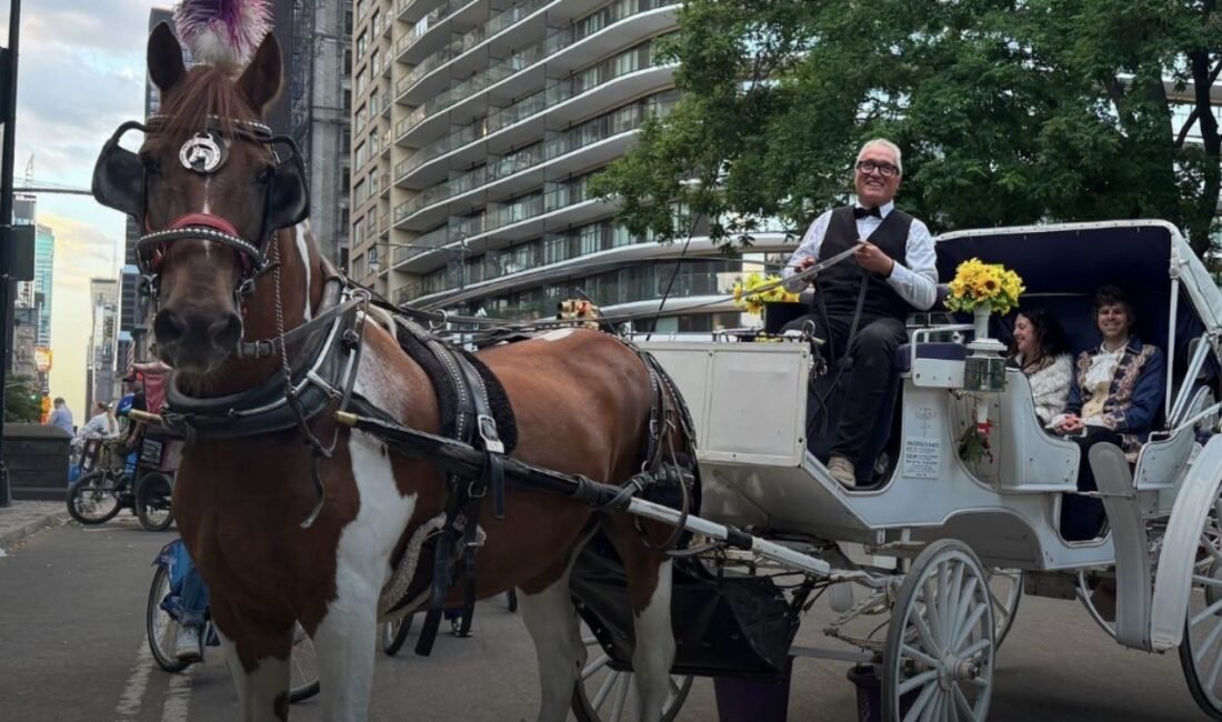 New York Polis Departmanı (NYPD), Salı günü Central Park’ta bir