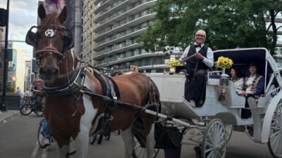 New York Polis Departmanı (NYPD), Salı günü Central Park’ta bir