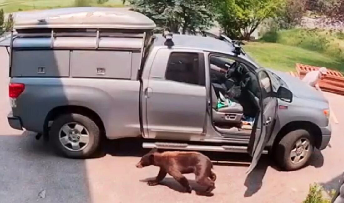ABD’nin Colorado eyaletinde yaşanan sıra dışı olay görenleri şaşkına çevirdi.
