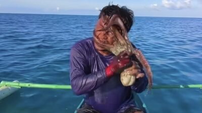 Filipinler’de balık tutmak için denize açılan bir balıkçı, hayatının en