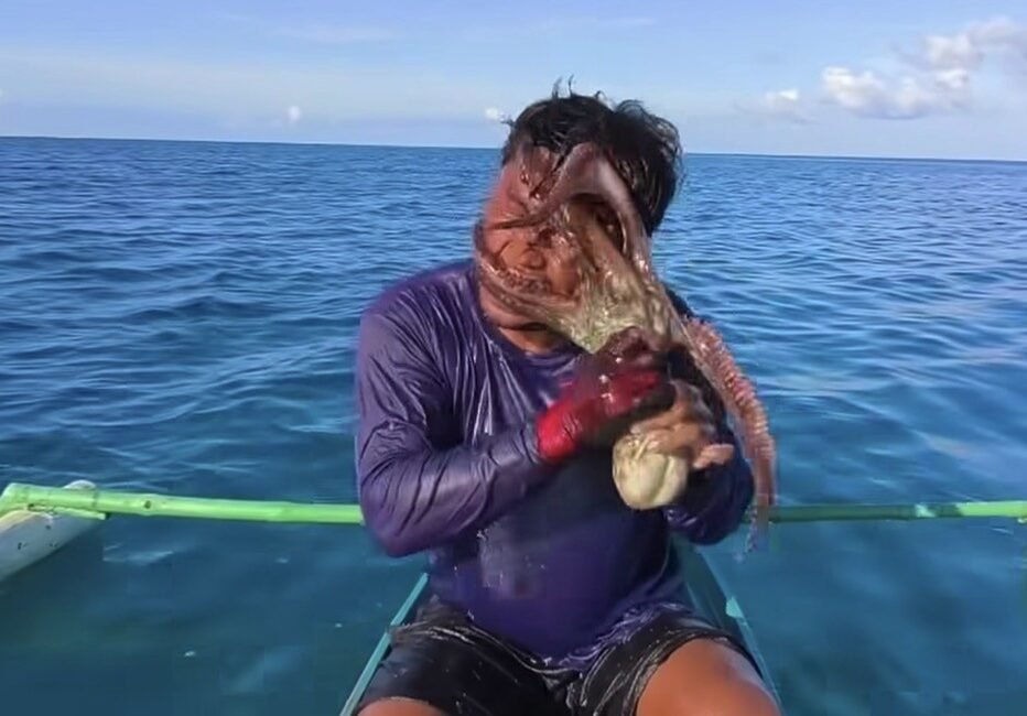 Filipinler’de balık tutmak için denize açılan bir balıkçı, hayatının en