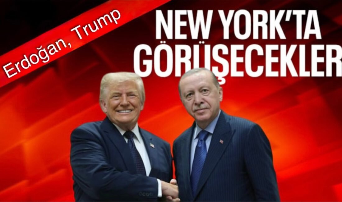 ABD’nin Ankara Büyükelçisi Tom Barrack, Cumhurbaşkanı Recep Tayyip Erdoğan ile