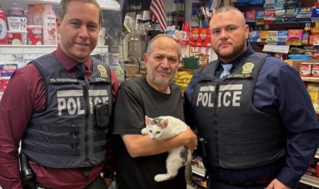 NEW YORK — New York’un Brooklyn bölgesinde bir dükkândan çalınan