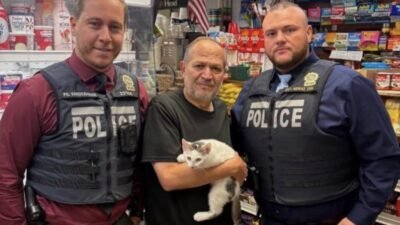 NEW YORK — New York’un Brooklyn bölgesinde bir dükkândan çalınan